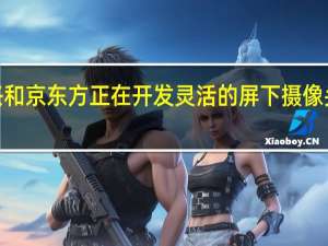 华为中兴和京东方正在开发灵活的屏下摄像头OLED显示屏