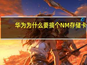 华为为什么要搞个NM存储卡