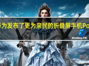 华为发布了更为亲民的折叠屏手机PocketeS