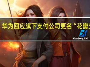 华为回应旗下支付公司更名“花瓣支付”：本质是加快鸿蒙生态基础设施构建