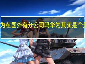 华为在国外有分公司吗 华为其实是个美国公司