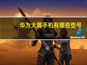 华为大屏手机有哪些型号（华为大屏手机有哪些）