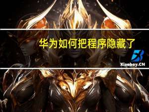 华为如何把程序隐藏了