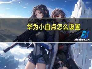 华为小白点怎么设置