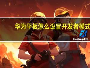 华为平板怎么设置开发者模式