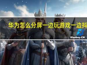 华为怎么分屏一边玩游戏一边抖音（华为怎么分屏）
