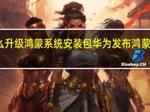 华为怎么升级鸿蒙系统安装包 华为发布鸿蒙系统怎么安装