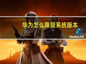 华为怎么降级系统版本