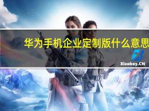 华为手机企业定制版什么意思
