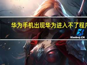华为手机出现华为进入不了程序（华为手机只能打出不能打进）