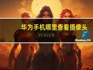 华为手机哪里查看摄像头