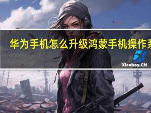 华为手机怎么升级鸿蒙手机操作系统（华为手机怎么升级鸿蒙）