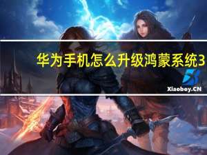 华为手机怎么升级鸿蒙系统3.0（华为手机怎么升级鸿蒙系统）