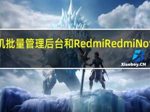 华为手机批量管理后台和Redmi Redmi Note 9S照片像素