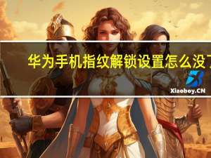 华为手机指纹解锁设置怎么没了