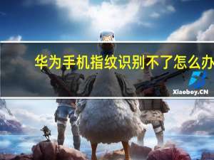 华为手机指纹识别不了怎么办