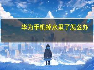 华为手机掉水里了怎么办（华为手机掉水里了应该怎么处理）