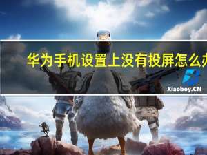 华为手机设置上没有投屏怎么办