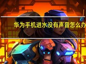 华为手机进水没有声音怎么办（手机进水怎么办没有声音怎么办）