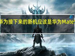 华为接下来的新机应该是华为Mate50系列