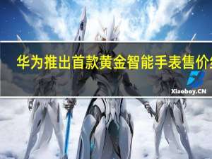 华为推出首款黄金智能手表 售价约2.3万人民币