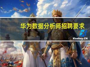 华为数据分析师招聘要求（华为招聘要求）