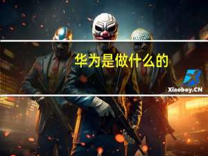 华为是做什么的