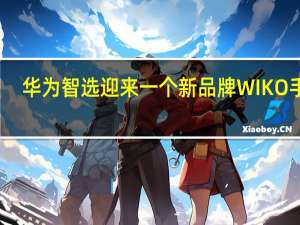 华为智选迎来一个新品牌 WIKO手机