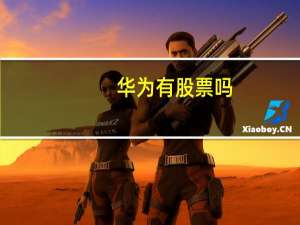 华为有股票吗