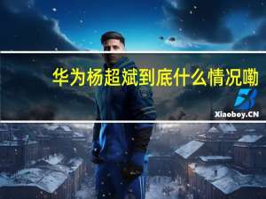 华为杨超斌 到底什么情况嘞
