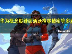 华为概念股继续活跃 格林精密等多股涨停