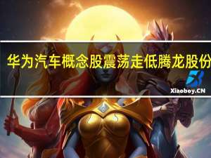 华为汽车概念股震荡走低腾龙股份跌停