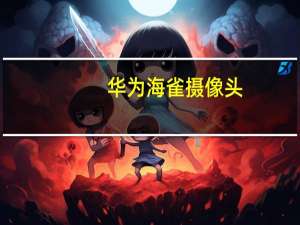 华为海雀摄像头