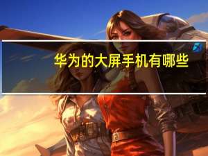 华为的大屏手机有哪些（华为有哪些大屏手机 求推荐）