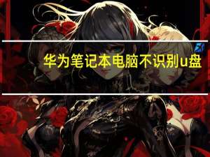 华为笔记本电脑不识别u盘（笔记本电脑不识别u盘）