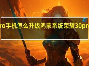 华为荣耀30Pro手机怎么升级鸿蒙系统 荣耀30pro怎么升级鸿蒙系统