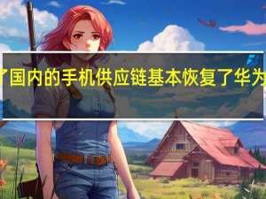 华为重整了国内的手机供应链基本恢复了华为旗舰该有的能力