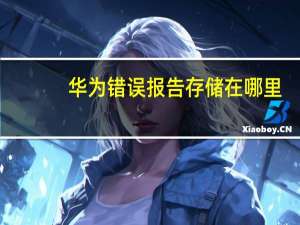 华为错误报告存储在哪里