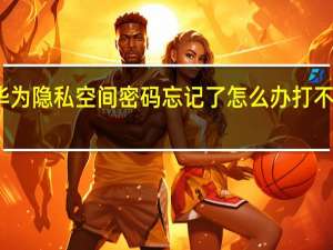 华为隐私空间密码忘记了怎么办打不开手机（华为隐私空间）
