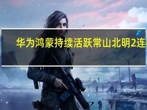 华为鸿蒙持续活跃 常山北明2连板