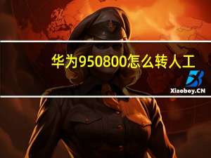 华为950800怎么转人工（华为9508）