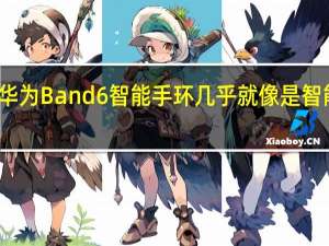 华为Band6智能手环几乎就像是智能手表