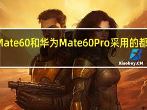华为Mate60和华为Mate60Pro采用的都是玄武架构