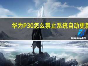 华为P30怎么禁止系统自动更新