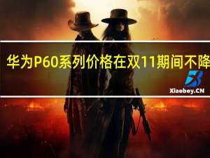 华为P60系列价格在双11期间不降反涨