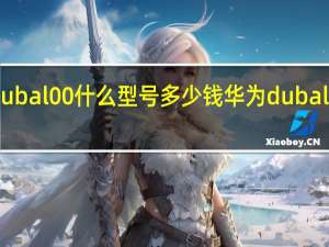 华为dubal00什么型号多少钱 华为dubal00什么型号
