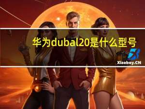 华为dubal20是什么型号