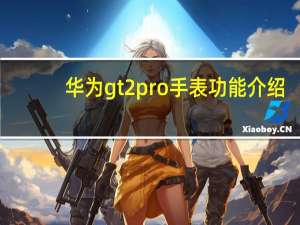 华为gt2pro手表功能介绍（华为手表gt2有什么功能）