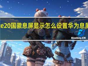 华为mate20国徽息屏显示怎么设置 华为息屏显示国徽图片