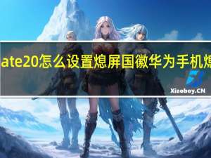 华为mate 20怎么设置熄屏国徽 华为手机熄屏显示国徽